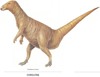 Illustration for article titled The horrors of evolution: the 10 freakiest animals of speculative biology